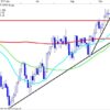 Lille ”Flush Out” 21OILCH
